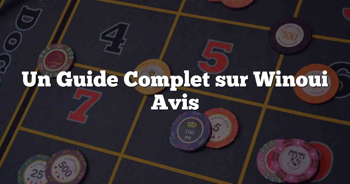 Un Guide Complet sur Winoui Avis